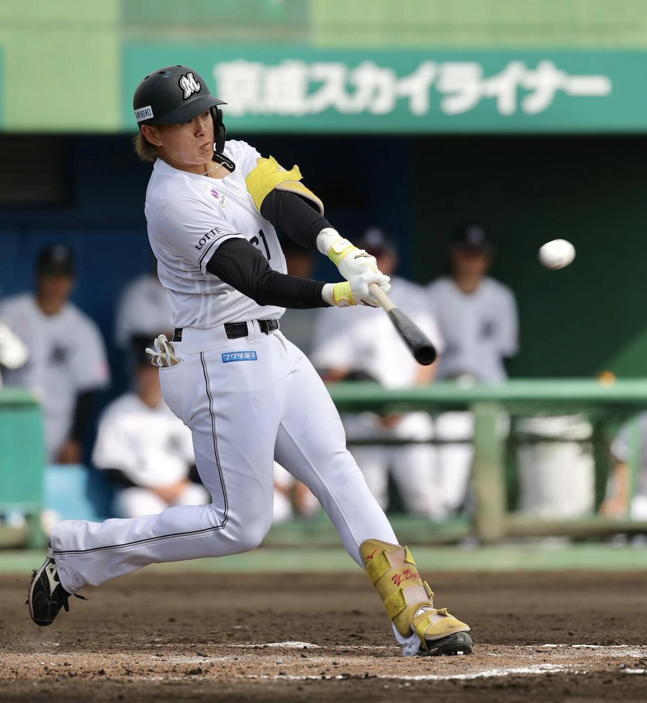 山本大斗 ミズノ バッティンググローブ